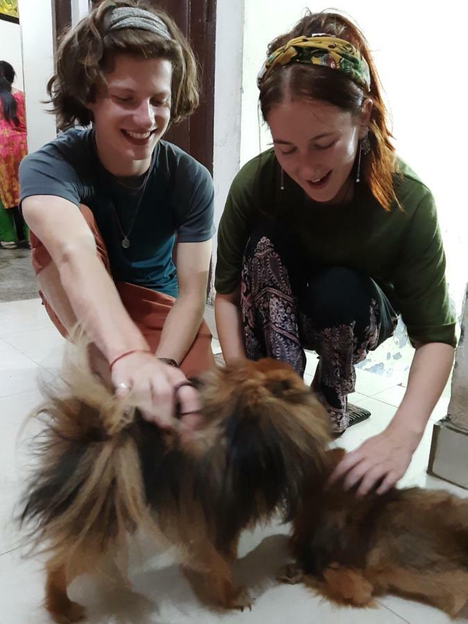 Sukhmani Home Stay Amritsar Eksteriør billede